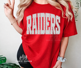 Raiders  gray leopard