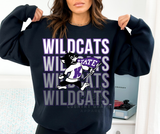 Wildcats Willie Stack