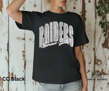 Lawrence-Nelson Raiders