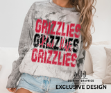 Rock Hills Grizzlies stack
