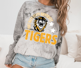 tigers - f h s u