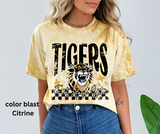retro tigers